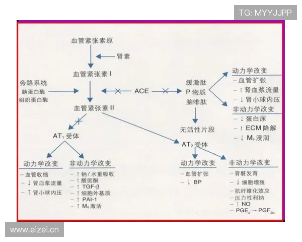 全球体育赛事数据门户全面解析与实时资讯互动平台指南 - 副本 - 副本 - 副本